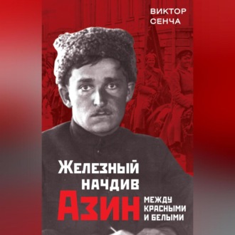 Обложка книги «Железный начдив Азин. Между красными и белыми»