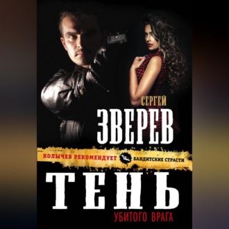 Обложка книги «Тень убитого врага»