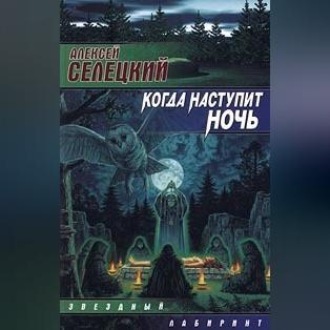 Обложка книги «Когда наступит ночь»