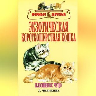 Обложка книги «Экзотическая короткошерстная кошка»