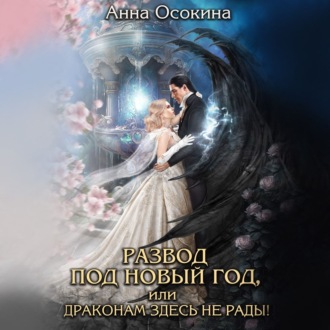 Обложка книги «Развод под Новый год, или Драконам здесь не рады!»