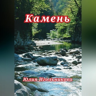 Обложка книги «Камень»