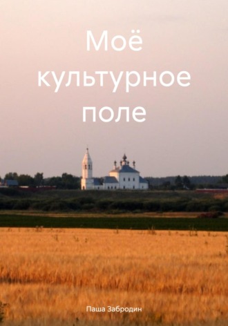 Паша Забродин. Моё культурное поле