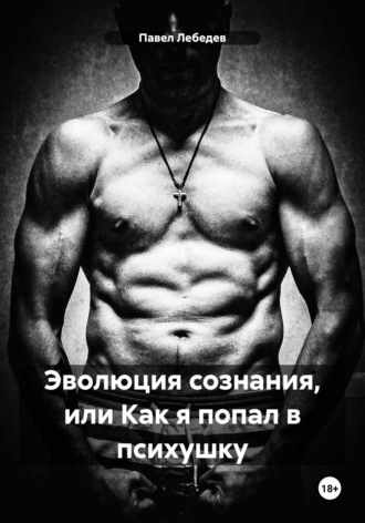 Обложка книги «Эволюция сознания, или Как я попал в психушку»