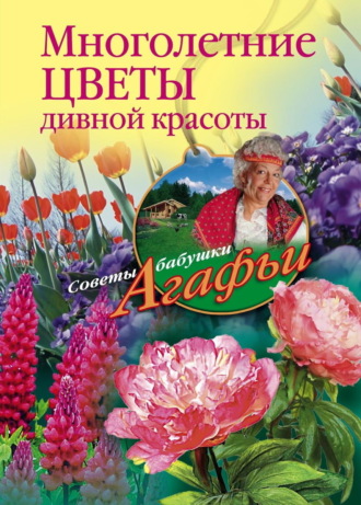 Обложка книги «Многолетние цветы дивной красоты. Выращивание, размножение, уход»