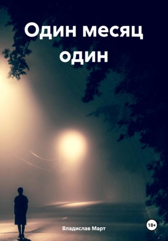 Обложка книги «Один месяц один»
