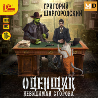 Обложка книги «Оценщик. Невидимая сторона»
