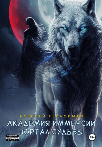 Обложка книги «Академия Иммерсии: Портал судьбы»