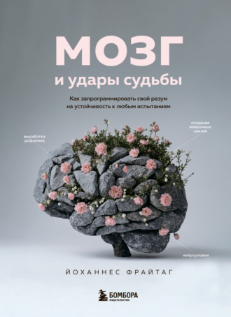 Обложка книги «Мозг и удары судьбы. Как запрограммировать свой разум на устойчивость к любым испытаниям»