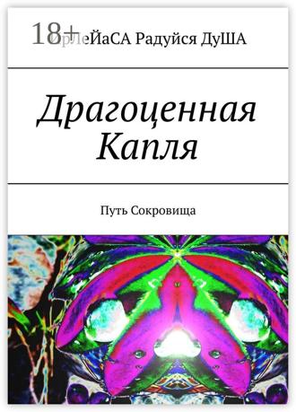 Обложка книги «Драгоценная Капля. Путь Сокровища»