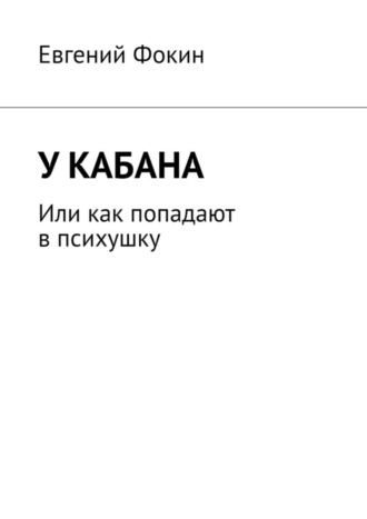 Евгений Фокин. У кабана. Или как попадают в психушку