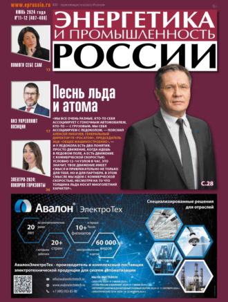 Обложка книги «Энергетика и промышленность России №11-12/2024»