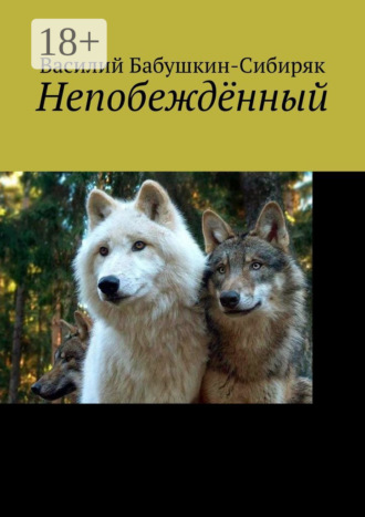 Обложка книги «Непобеждённый»