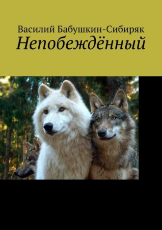 Василий Бабушкин-Сибиряк. Непобеждённый