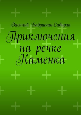 Обложка книги «Приключения на речке Каменка»