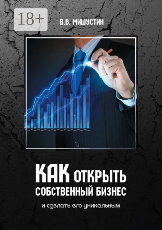 Владимир Викторович Мишустин. Как открыть собственный бизнес. И сделать его уникальным