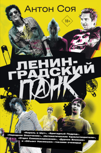 Обложка книги «Ленинградский панк»