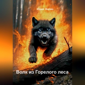 Обложка книги «Волк из Горелого леса»