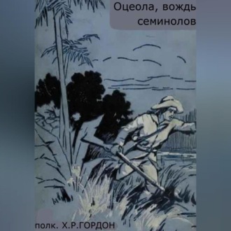 Обложка книги «Оцеола, вождь семинолов»
