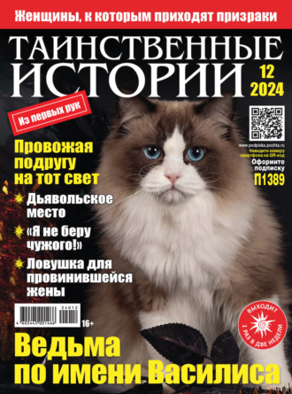 Обложка книги «Таинственные истории №12/2024»