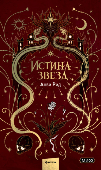 Обложка книги «Истина звезд»