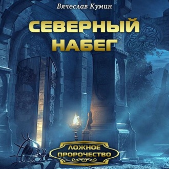 Обложка книги «Северный набег»