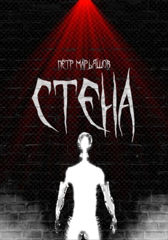 Обложка книги «Стена»