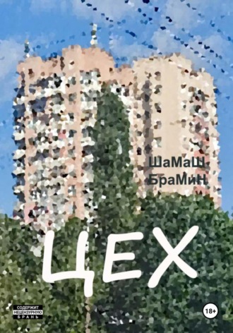 Обложка книги «Цех»