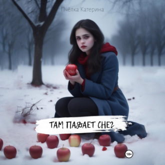 Обложка книги «Там падает снег»