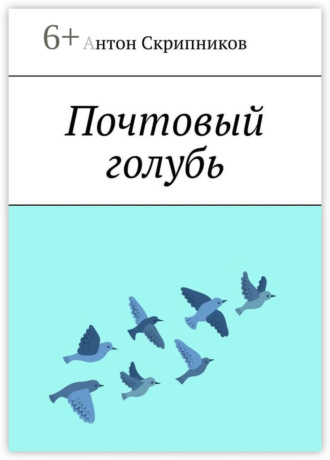 Обложка книги «Городской голубь»