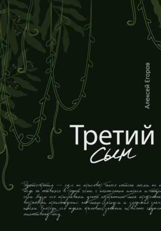 Обложка книги «Третий сын»