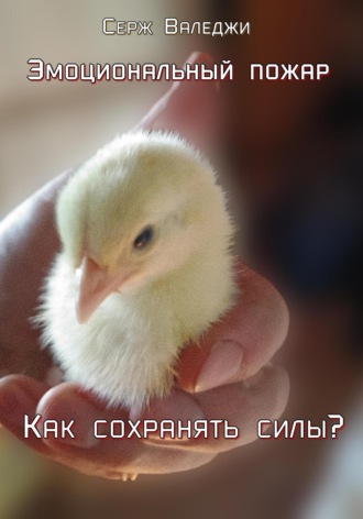 Обложка книги «Эмоциональный пожар. Как сохранять силы?»