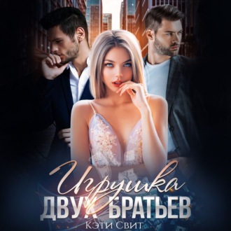 Обложка книги «Игрушка двух братьев»
