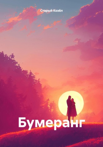 Обложка книги «Бумеранг»