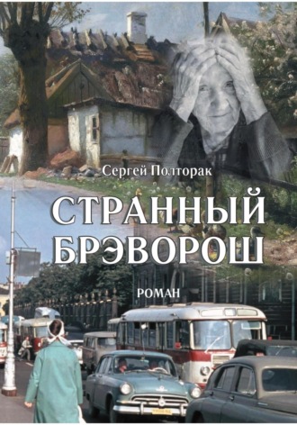 Обложка книги «Странный Брэворош»