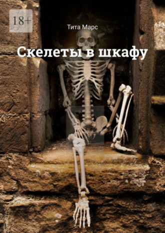 Обложка книги «Скелеты в шкафу»