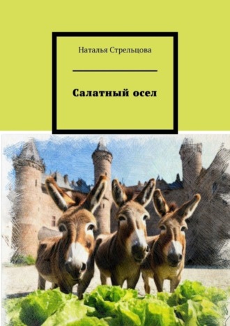 Обложка книги «Салатный осел. Сказки и притчи в стихах»