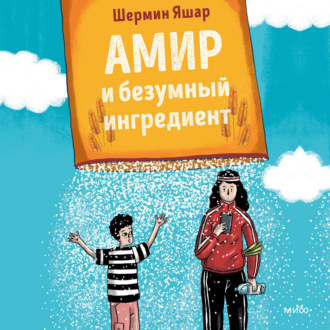 Обложка книги «Амир и безумный ингредиент»