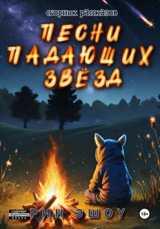 Обложка книги «Песни падающих звёзд»
