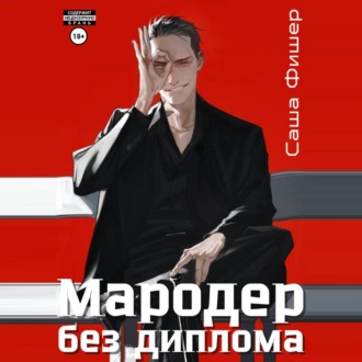 Обложка книги «Мародер без диплома»