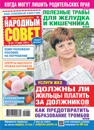 Обложка книги «Народный совет №25/2024»