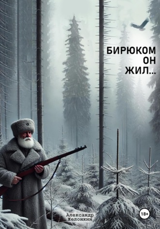 Обложка книги «Бирюком он жил»