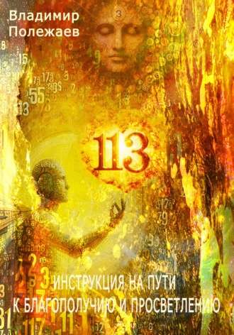Обложка книги «113 – Инструкция на пути к истинному благополучию и просветлению»