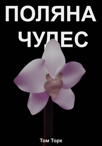 Обложка книги «Поляна чудес»