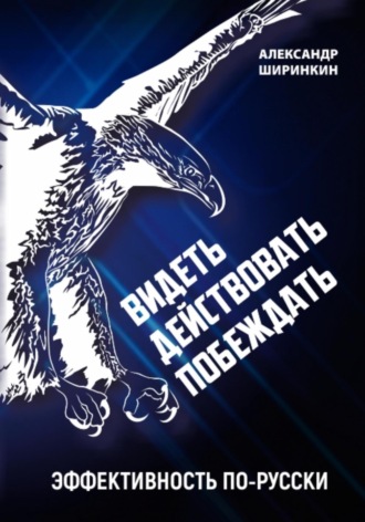 Обложка книги «Видеть. Действовать. Побеждать. Издание второе. Эффективность по-русски»