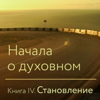 Обложка книги «Начала о духовном. Книга IV. Становление»