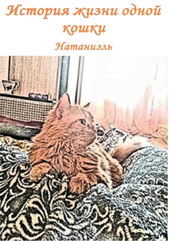 Обложка книги «История жизни одной кошки»