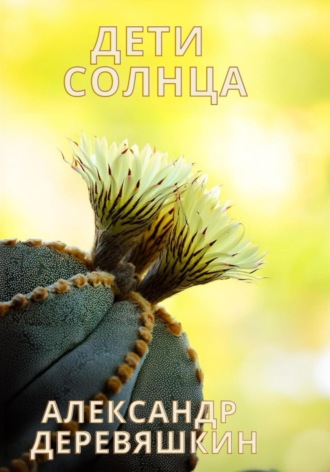 Обложка книги «Дети солнца»