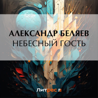 Обложка книги «Небесный гость»