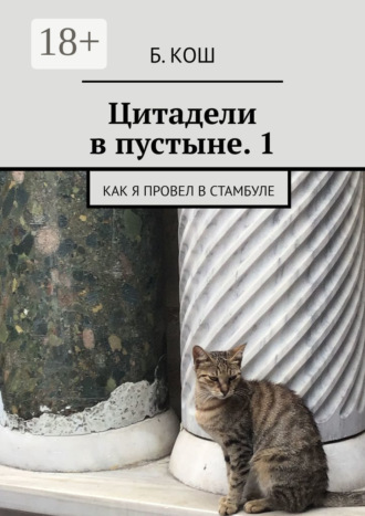 Обложка книги «Цитадели в пустыне. 1. Как я провел в Стамбуле»